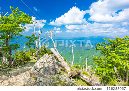 Mountain trail, summer mountain and blue sky Mountain trail, summer mountain and blue sky 116288067