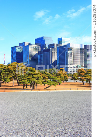 Scenery of the Imperial Palace Garden and buildings in Chiyoda Ward, Tokyo 116288074