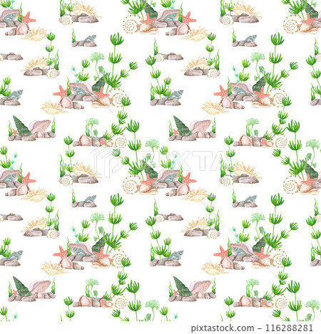 Hand drawn watercolor seaweed and seashells seamless pattern isolated on white background. Marine illustration can be used for textile, fabric, wrapping and other printed products. 116288281