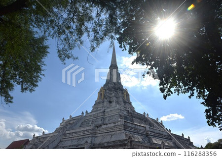 Wat Phu Khao Thong ancient temple with beautiful white pagoda in Ayutthaya Thailand Wat Phu Khao Thong ancient temple with beautiful white pagoda in Ayutthaya Thailand 116288356