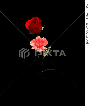 Colorful Floral Arrangement isolated Colorful Floral Arrangement isolated 116288357