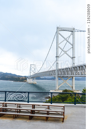 德島縣鳴門海峽和大鳴門大橋 116288609