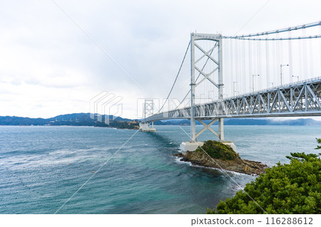 德島縣鳴門海峽和大鳴門大橋 德島縣鳴門海峽和大鳴門大橋 116288612