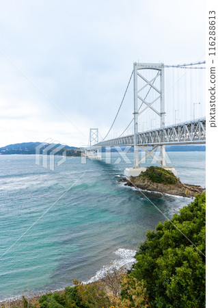 德島縣鳴門海峽和大鳴門大橋 116288613