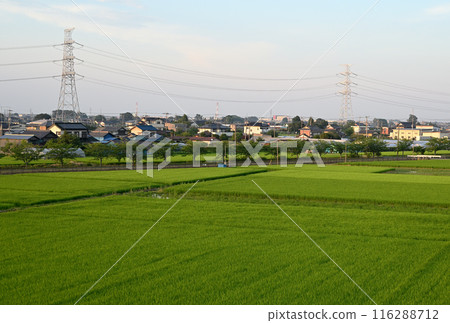 從鄉村看郊區住宅區 116288712