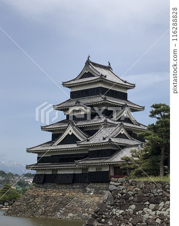Towering Matsumoto Castle Towering Matsumoto Castle 116288828