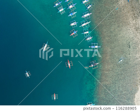 Aerial view of boats anchored in the bay with clear and turquoise water. Boats in the tropical lagoon. Palawan island, Philippines. Aerial view of boats anchored in the bay with clear and turquoise water. Boats in the tropical lagoon. Palawan island, Philippines. 116288905