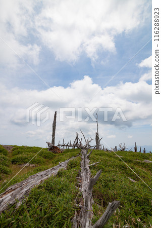 A spectacular view of Odaigahara in summer with blue skies and clouds 116288923