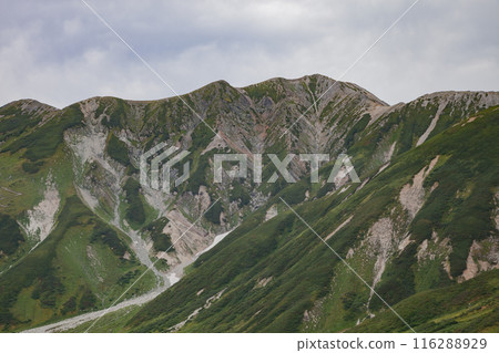 Enjoy beautiful nature and spectacular views while hiking in Tateyama, Toyama Prefecture Enjoy beautiful nature and spectacular views while hiking in Tateyama, Toyama Prefecture 116288929