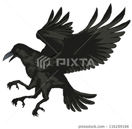 日式插畫中的八咫烏 116289166