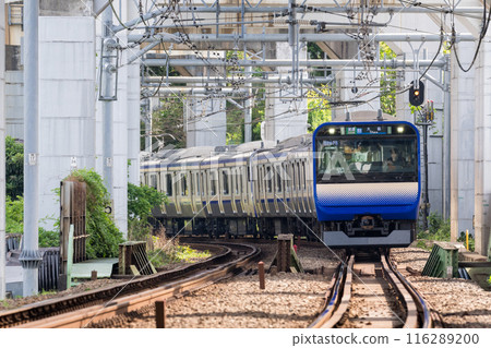 [橫須賀線] 在高架軌道下行駛的列車 116289200