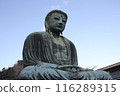 Hase Great Buddha 116289315