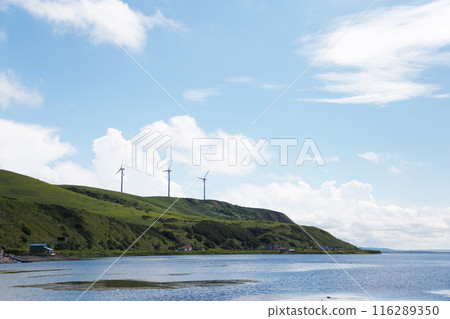 站在山上的風力發電機 116289350