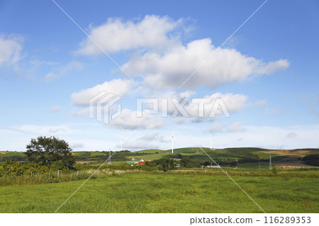 風力發電機矗立在小山上，雲彩漂浮在藍天上 116289353