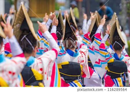 [Tokushima] Awa Dance 116289564