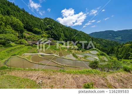 [Tokushima] Kashihara Rice Terraces [Kamikatsu Town] 116289583