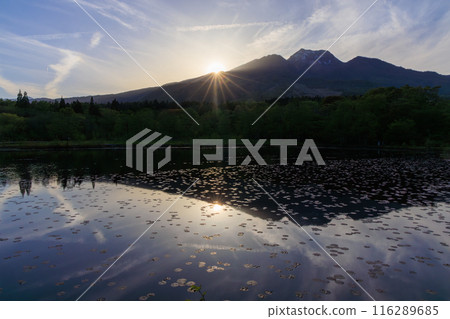 Beautiful sunset and blue sky reflected in the pond at Myoko Kogen Beautiful sunset and blue sky reflected in the pond at Myoko Kogen 116289685