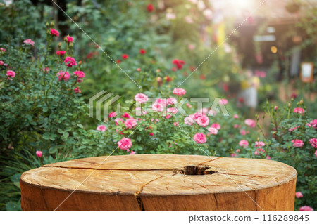 Empty old tree stump table top with blur rose garden background for product display Empty old tree stump table top with blur rose garden background for product display 116289845