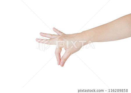 Woman hand gesture holding something isolated on white background 116289858