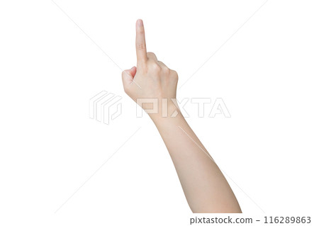 female hand touching or pointing to something isolated on white background female hand touching or pointing to something isolated on white background 116289863