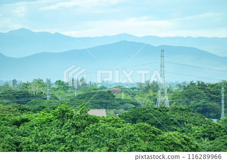 Electric power poles with power lines background 116289966
