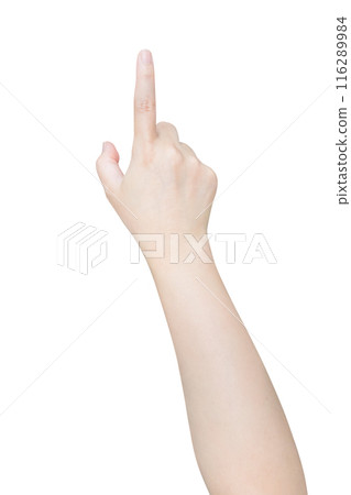 female hand touching or pointing to something isolated on white background female hand touching or pointing to something isolated on white background 116289984