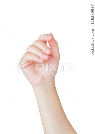 Woman hand gesture holding something isolated on white background Woman hand gesture holding something isolated on white background 116289987