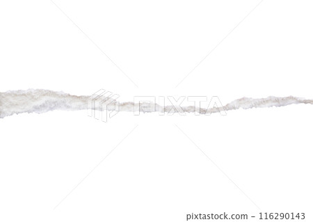 Ripped torn paper edges isolated on white background Ripped torn paper edges isolated on white background 116290143