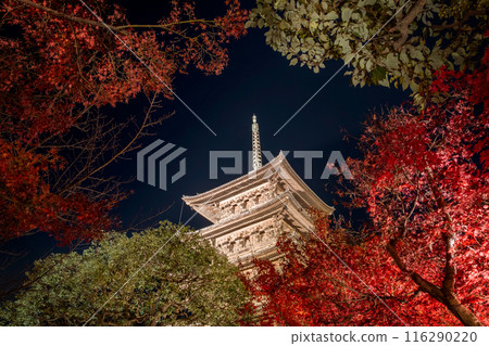 Toji temple with lighting show ,Kyoto, Japan. Toji temple with lighting show ,Kyoto, Japan. 116290220