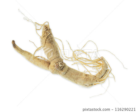 Isolated ginseng cut out on white background. 116290221