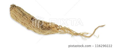 Isolated ginseng cut out on white background. 116290222