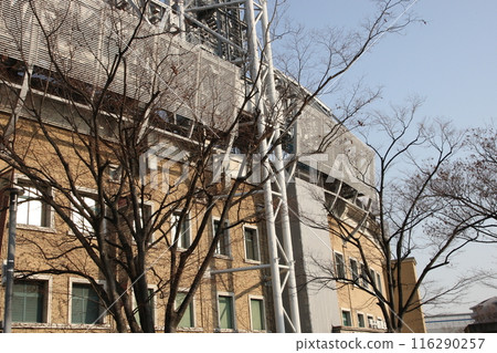 冬日天空中的甲子園體育場 冬日天空中的甲子園體育場 116290257