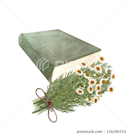 A bouquet of chamomile by a green book watercolor illustration isolated on white. High quality hand painted wild herb for cards, packages, oil infusions, folk medicine recipes and herbal guides design A bouquet of chamomile by a green book watercolor illustration isolated on white. High quality hand painted wild herb for cards, packages, oil infusions, folk medicine recipes and herbal guides design 116290333