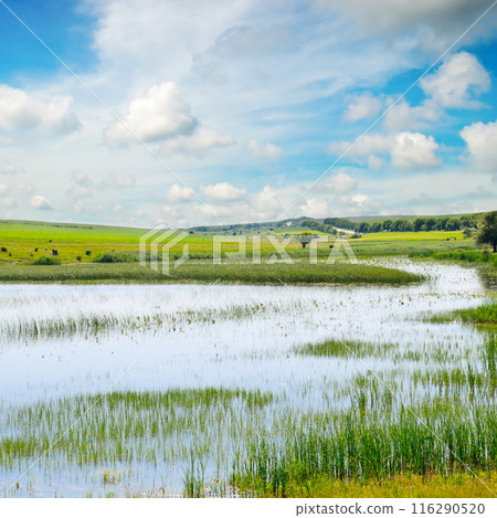 Landscape with a beautiful lake and cloudy sky. 116290520