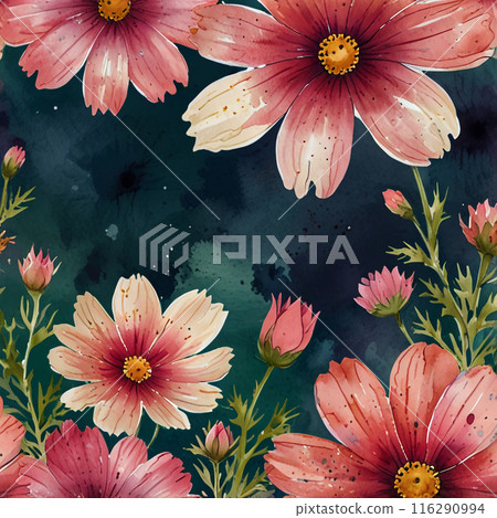 large pink flowers on a dark background large pink flowers on a dark background 116290994