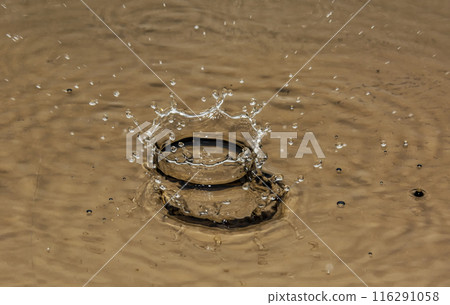 On the surface of the water formed a large and small crown from the fallen drops. From falling drops on the surface of the water formed a large and small crown On the surface of the water formed a large and small crown from the fallen drops. From falling drops on the surface of the water formed a large and small crown 116291058