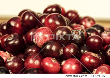 Ripe red berries of cranberries are photographed close-up 116291070