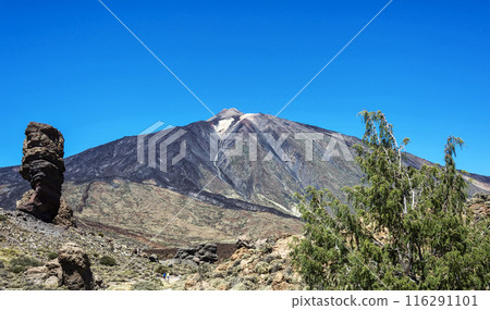 Mount and volcano Teide on the Spanish island of Tenerife (Canary Islands) 116291101