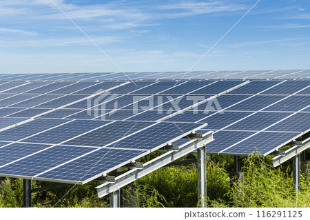 Close-up of Photovoltaic panels for renewable electrical energy production in Taiwan. 116291125