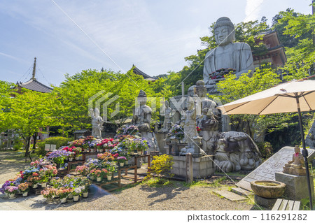 坪坂寺、釋迦牟尼如來石像及繡球花 116291282