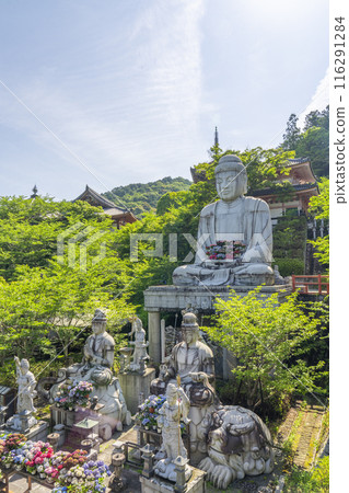 坪坂寺、釋迦牟尼如來石像及繡球花 坪坂寺、釋迦牟尼如來石像及繡球花 116291284