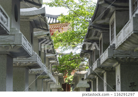 Beautifully lined up stone lanterns at Tsubosaka-dera Temple Beautifully lined up stone lanterns at Tsubosaka-dera Temple 116291297