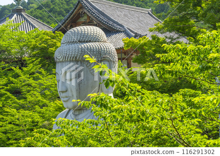 坪坂寺鮮綠大佛 116291302