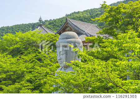 Tsubosaka Temple: New Green Buddha Tsubosaka Temple: New Green Buddha 116291303
