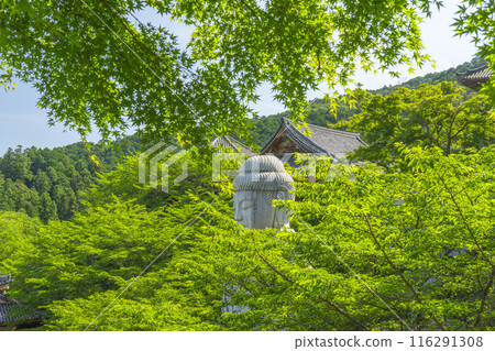 Tsubosaka Temple: New Green Buddha Tsubosaka Temple: New Green Buddha 116291308