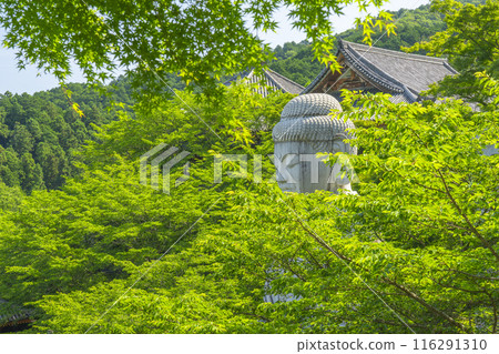 坪坂寺鮮綠大佛 坪坂寺鮮綠大佛 116291310