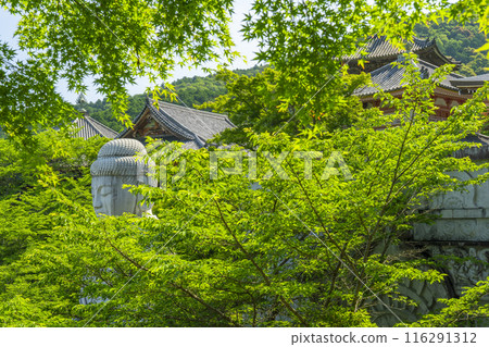 Tsubosaka Temple: New Green Buddha 116291312