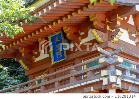 Tsubosaka Temple: Fresh greenery and Tenjikumon Gate 116291314