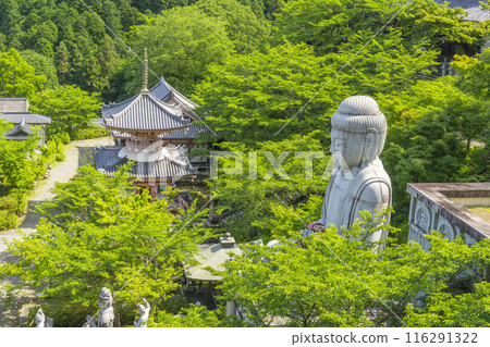Tsubosaka Temple: New Green Buddha Tsubosaka Temple: New Green Buddha 116291322