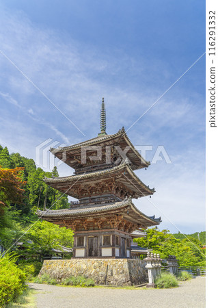 初夏的奈良，坪坂寺，三層寶塔 116291332